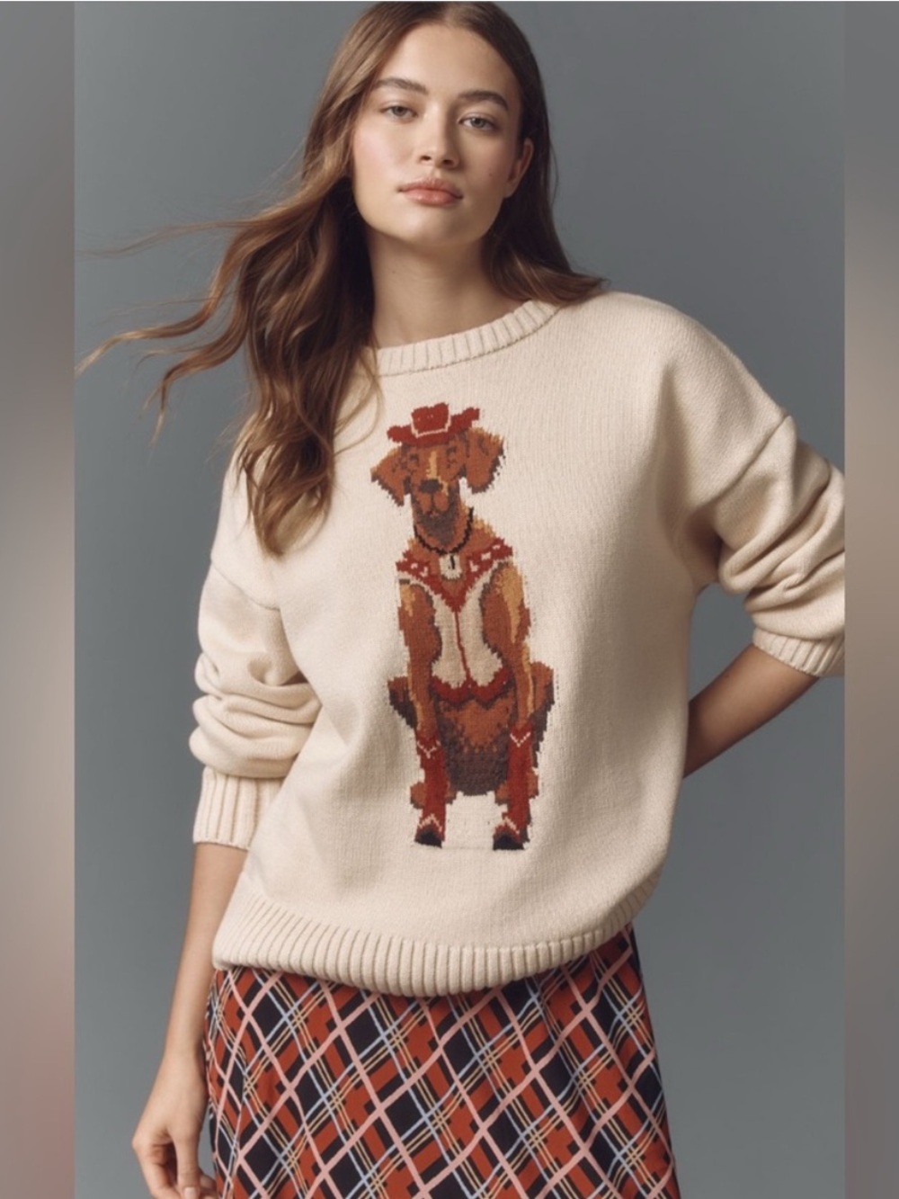 Anthropologie Porridge Western Jolene Dog Cowboy Pullover Crewneck Sweater Large